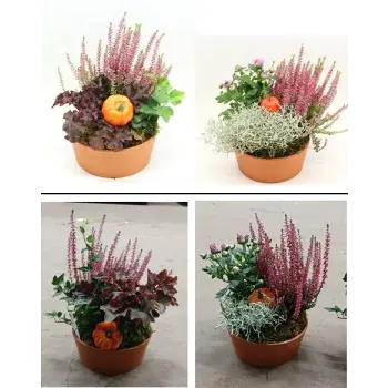 Höstarrangemang 18 cm.