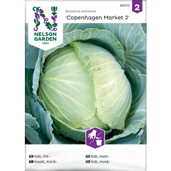 Kål Vit Copenhagen.