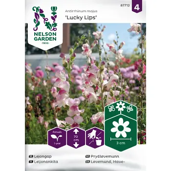 Lejongap, Lucky Lips.