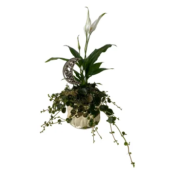 Arr Ramadan Fredskalla.