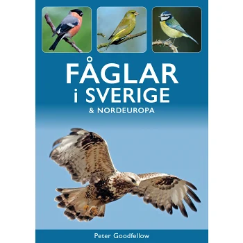 Fåglar i Sverige & Nordeuropa.