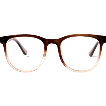 Läsglasögon 011 brun +2,5 Waye Readers.