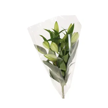 Orientaliska liljor 3-p 60cm.