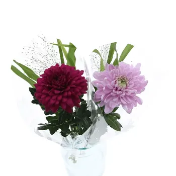 Bukett Student solitär 50cm.