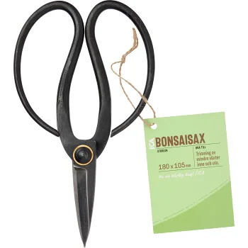 Bonsaisax ICA Garden.