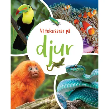 Vi fokuserar på - Djur.