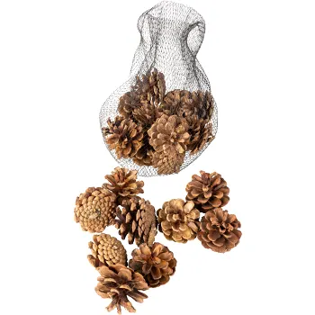 Kottar i nät Nordic Season.