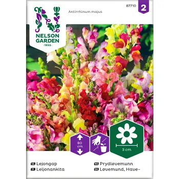 Lejongap Hög 1st Nelson Garden.