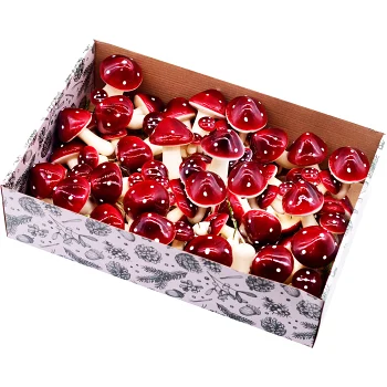 Röda svampar olika storlekar Festive.