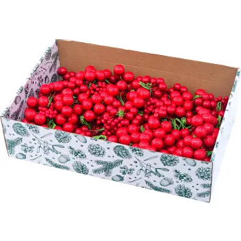 Röda bär sorterade Festive.