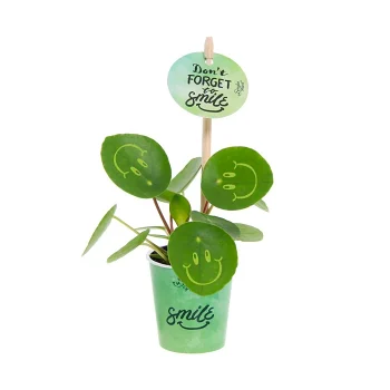 Arr Elefantöra Smiley 5,5cmx20.