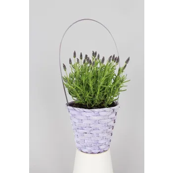 Arr Korg Lavendel 12cm x6.