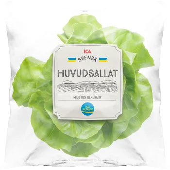 Huvudsallat 150 Gram Klass 1 ICA.