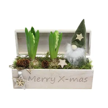 Julgrupp Hya låda 24x8,5cm x5.