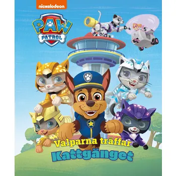 Valparna träffar Kattgänget.