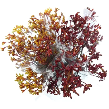 Kängurutass 3 pack 50 cm.