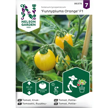 Tomat, Kruk-, Funnyplums Orange F1.