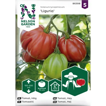 Tomat, Hög, Liguria Nelson Garden.