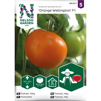 Tomat, Hög, Orange Wellington F1 Nelson Garden.