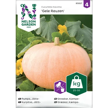 Pumpa, Jätte-, Gele Reuzen Nelson Garden.