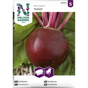 Rödbeta, Solist, såband Nelson Garden.