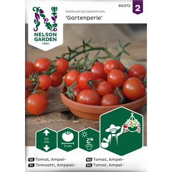 Tomat, Ampel-, Gartenperle Nelson Garden.