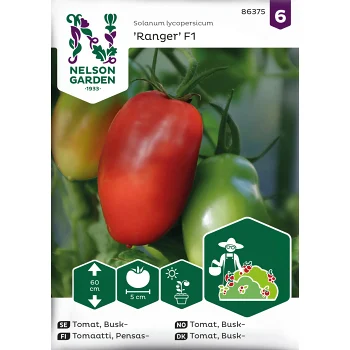 Tomat, Busk-, Ranger F1 Nelson Garden.