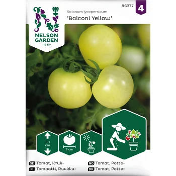 Tomat, Kruk, Balconi Yellow.