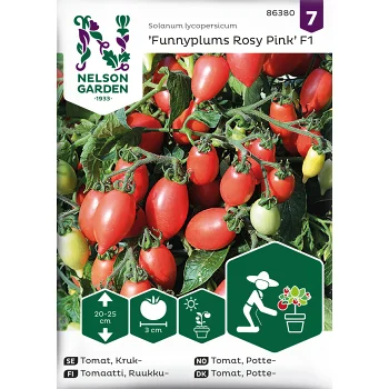 Tomat, Kruk, Funnyplums Rosy Pink.