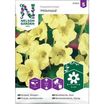 Krasse, Slinger-, Milkmaid Nelson Garden.