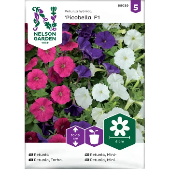 Petunia, Fantasy, mini, bl färger Nelson Garden.