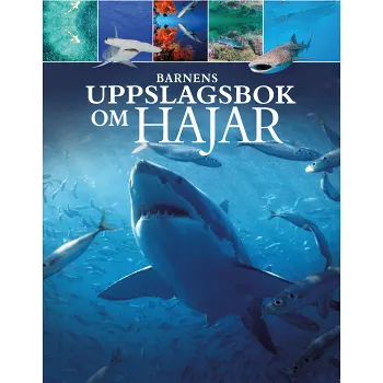 Barnens uppslagsbok om hajar.