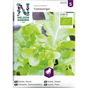 Sallat, Plock, Catalonga, Organic Nelson Garden.