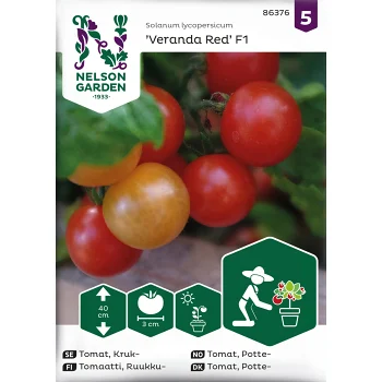 Tomat, Kruk-, Veranda Red F1.