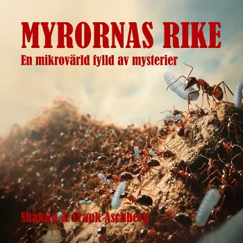 Myrornas rike - En mikrovärld fylld av mysterier.