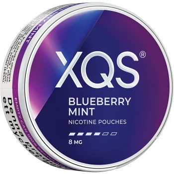 XQS Blueberry Mint Strong 10g.