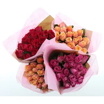 Rosor 20 pack 40 cm.