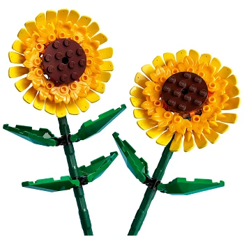 LEGO Botanicals Solrosor 40524.