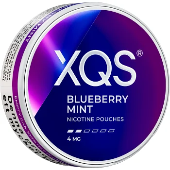 XQS Blueberry Mint Light 4mg 10g.
