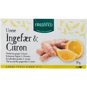Ginger &amp; Lemon Örtte Fredsted.