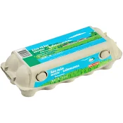 Ägg Södermanland Frigående inne M 10-p Kronägg.