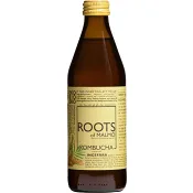 Kombucha Ingefära 330ml Roots of Malmö.