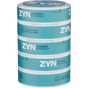 Nikotin utan tobak Spearmint Stock Zyn.