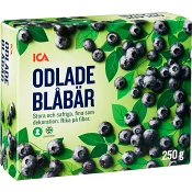 Stora blåbär Fryst 250g ICA.