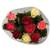 Rosor 9-p 50cm Fairtrade blandade färger i buketten ICA.