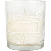 Doftljus I Glas Vanilla Dream 1st Duni.