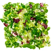 Sallad FS Provence 500g Greenest.