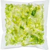 Isbergssallad Strimlad 1kg Greenest.