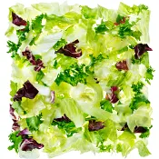 Family Mix 1kg Greenest.