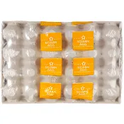 Ägg Frigående 24-p Stjärnägg.